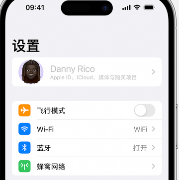 武川appleID维修服务iPhone设置中Apple ID显示为灰色无法使用 