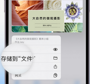 武川apple维修中心分享iPhone文件应用中存储和找到下载文件