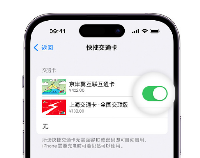 武川apple维修点分享iPhone上更换Apple Pay快捷交通卡手绘卡面 