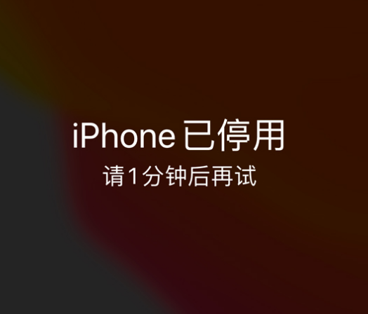 武川苹果手机维修分享:iPhone 显示“不可用”或“已停用”怎么办？还能保留数据吗？ 