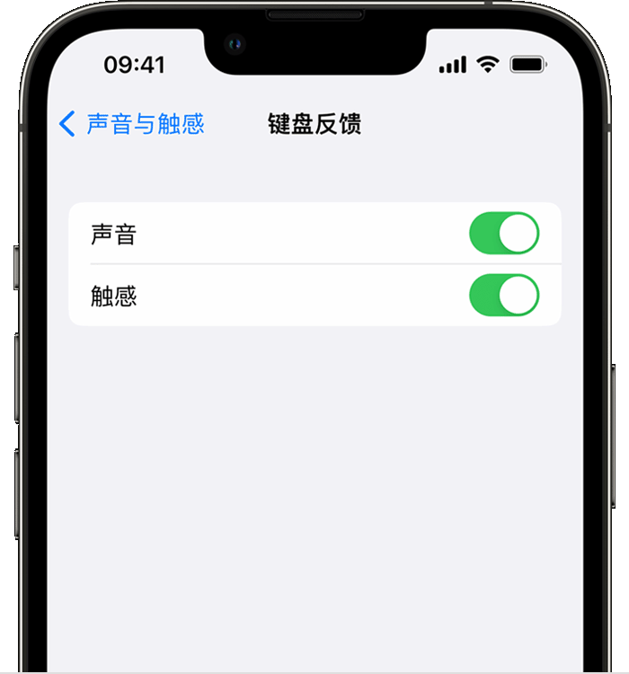 武川苹果14维修分享iPhone 14 系列机型如何开启键盘声音或触感反馈 