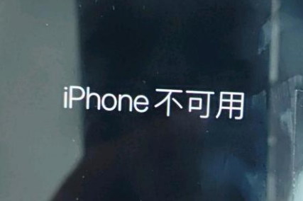 武川苹果服务网点分享锁屏界面显示“iPhone 不可用”如何解决 