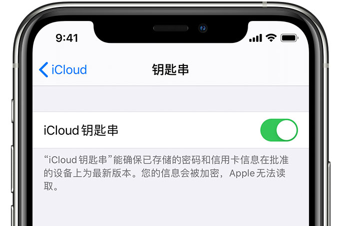 武川苹果手机维修分享在 iPhone 上开启 iCloud 钥匙串之后会储存哪些信息 