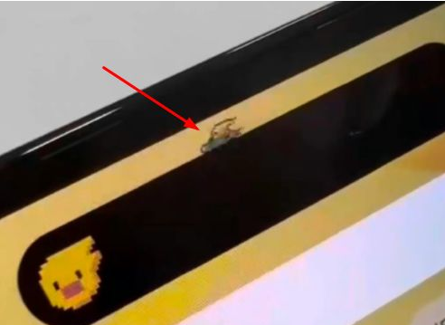 武川苹果14维修分享iPhone 14 Pro Max灵动岛怎么养宠物 