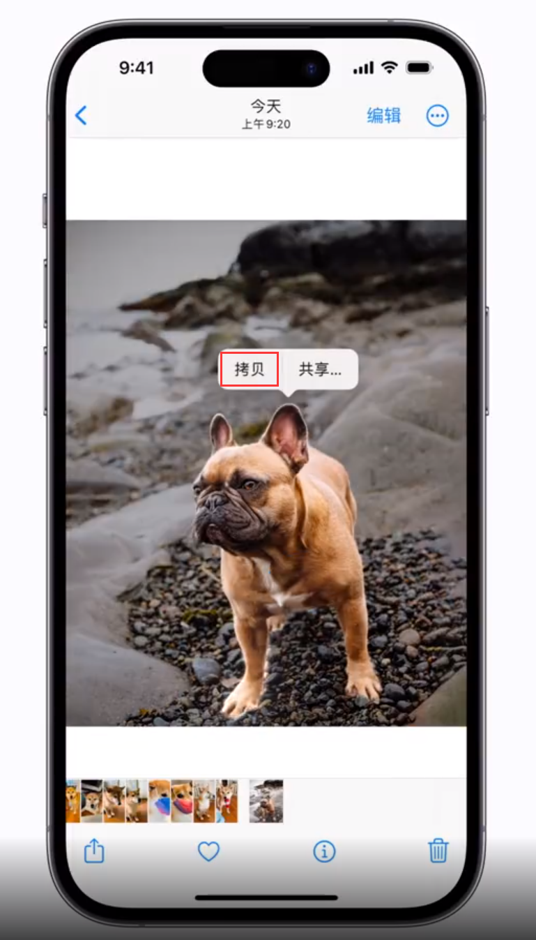 武川苹果手机维修分享 iOS 16 自带一键抠图功能 