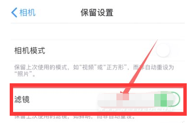 武川苹果13维修分享iPhone13拍照有绿点是怎么回事 