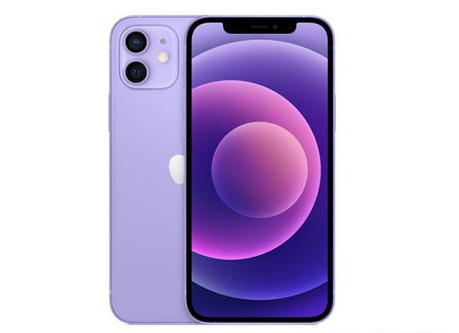 武川苹果手机维修分享现阶段要不要入手紫色版iPhone12 