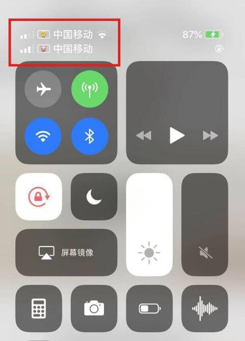 武川苹果手机维修分享为 iPhone 12 双卡设置标签 